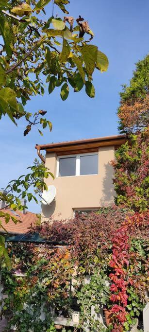 Flóra House 3 minutes from Lake Balaton Keszthely Exterior foto